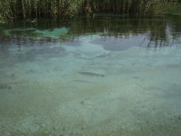 Canale Santa Susanna (tratto alto)